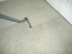 carpetcleaning2