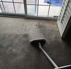 Carpet Steam Cleaning